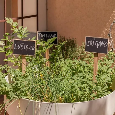 Appartement Apartma Summer Garden
