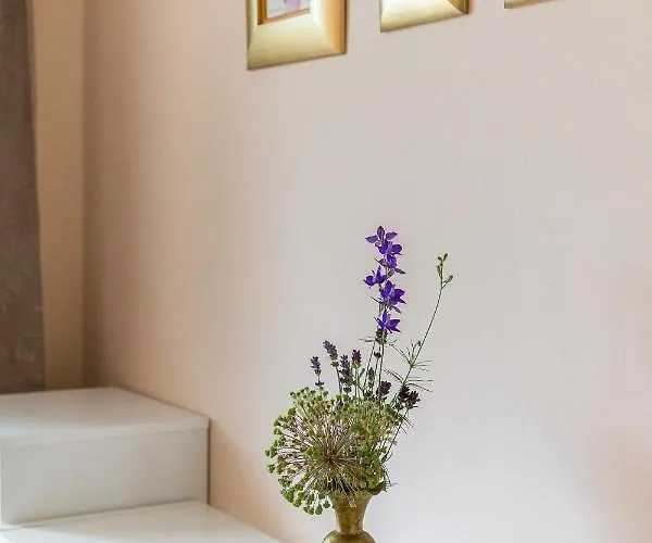 Apartma Summer Garden شقة