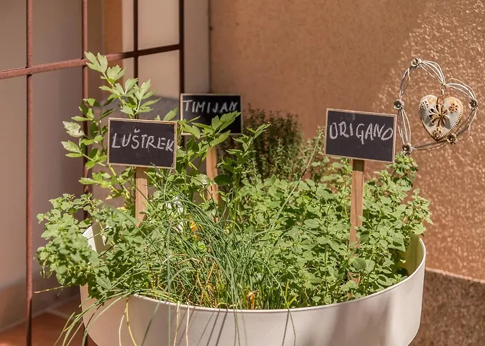 شقة Apartma Summer Garden